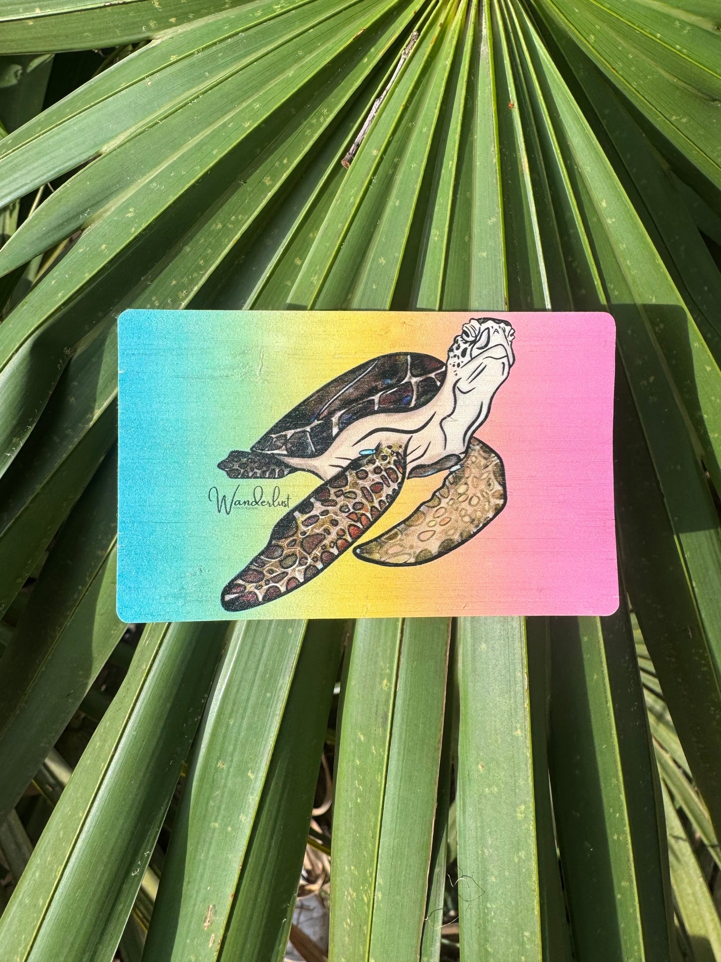 Rainbow Turtle - Bamboo Sticker