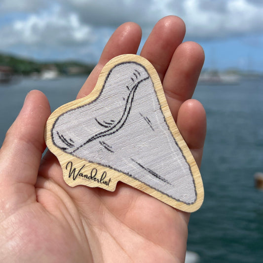 Megalodon Tooth - Bamboo Sticker