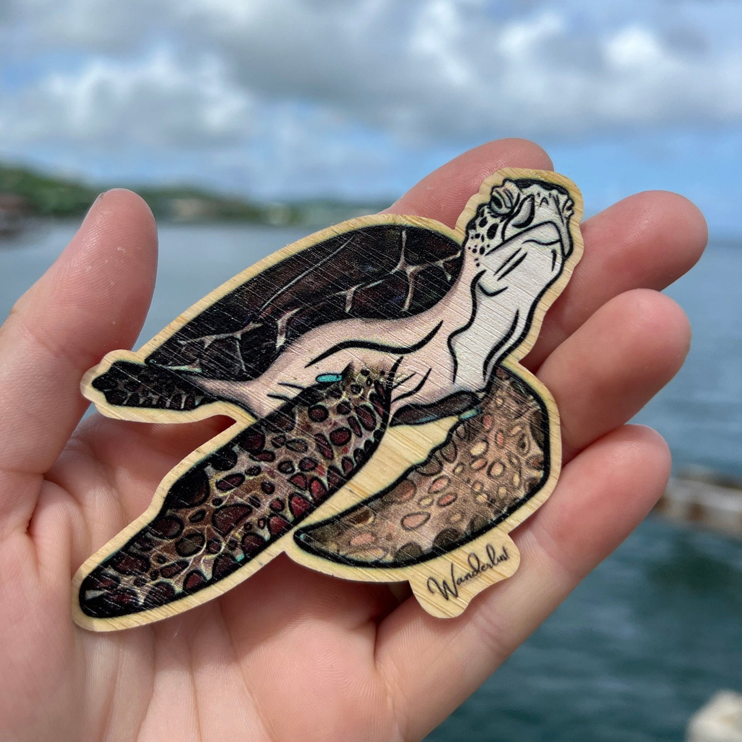 Turtle - Bamboo Sticker