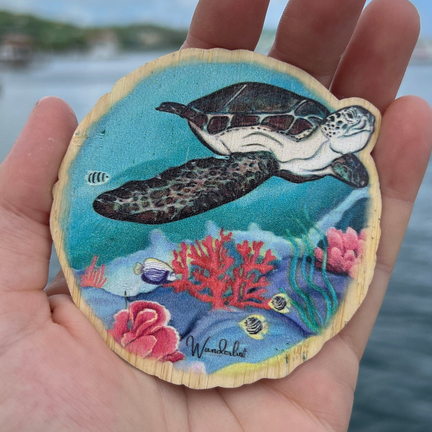 Turtle Reef - Bamboo Sticker