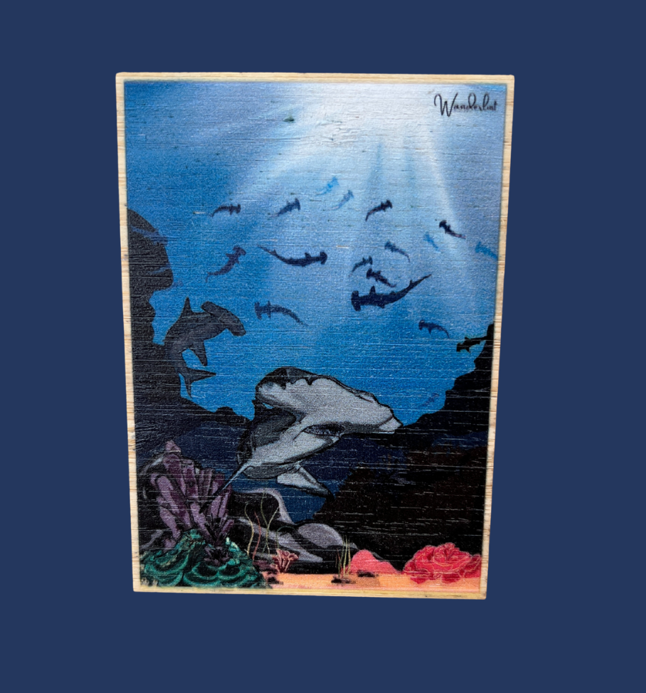 Hammerhead - Bamboo Sticker