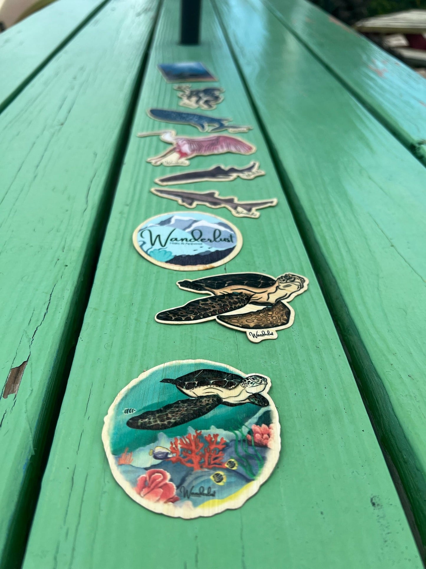 Nurse Shark - Bamboo Sticker