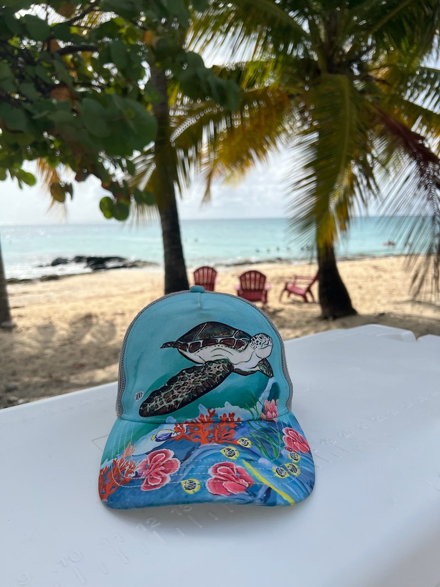 Turtle Hat